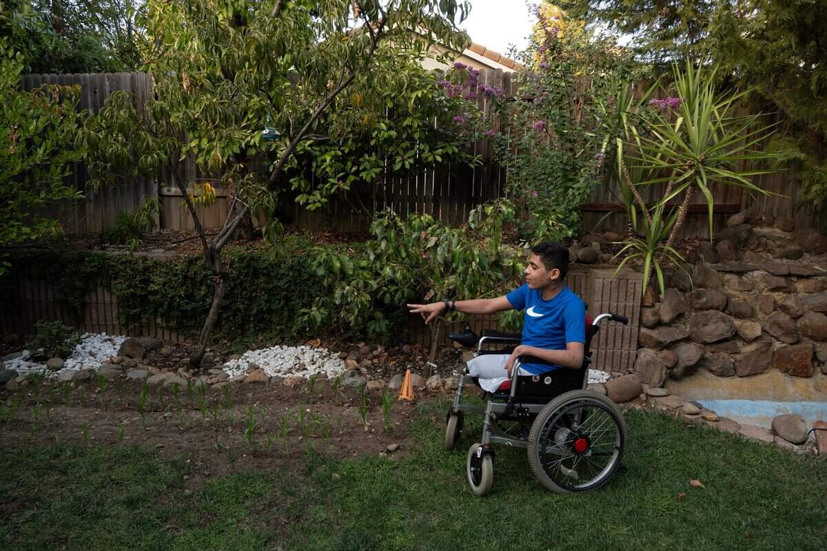 Ahmed points out the two rows of corn he planted in early September in the backyard of the host family’s home in Folsom.