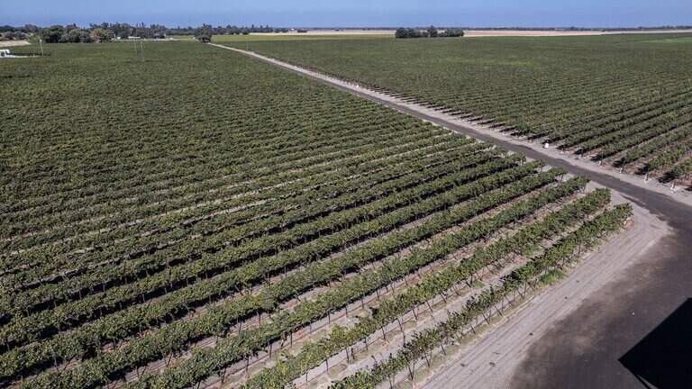 Sacramento County agriculture adds $1.2B to local economy, inaugural report shows