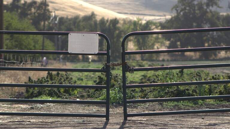 Sutter County farmer who lobbied against hemp ban secures bail after pot bust