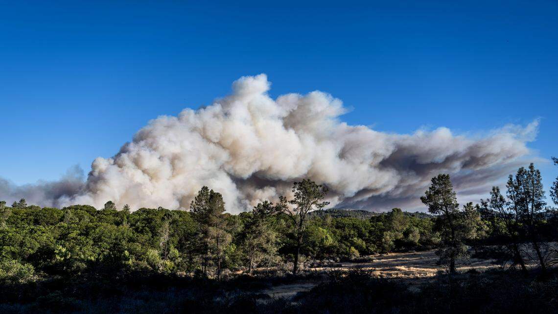 People seeking Park Fire news on X instead encountered spam and porn. ‘This is dangerous’