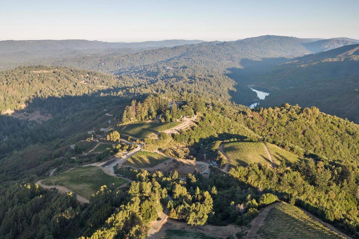 Perched atop the Santa Cruz Mountains, Lago Lomita’s terraced vineyards soak up dramatic Monterey Bay vistas, producing award-winning vintages in a setting where earth meets sky.