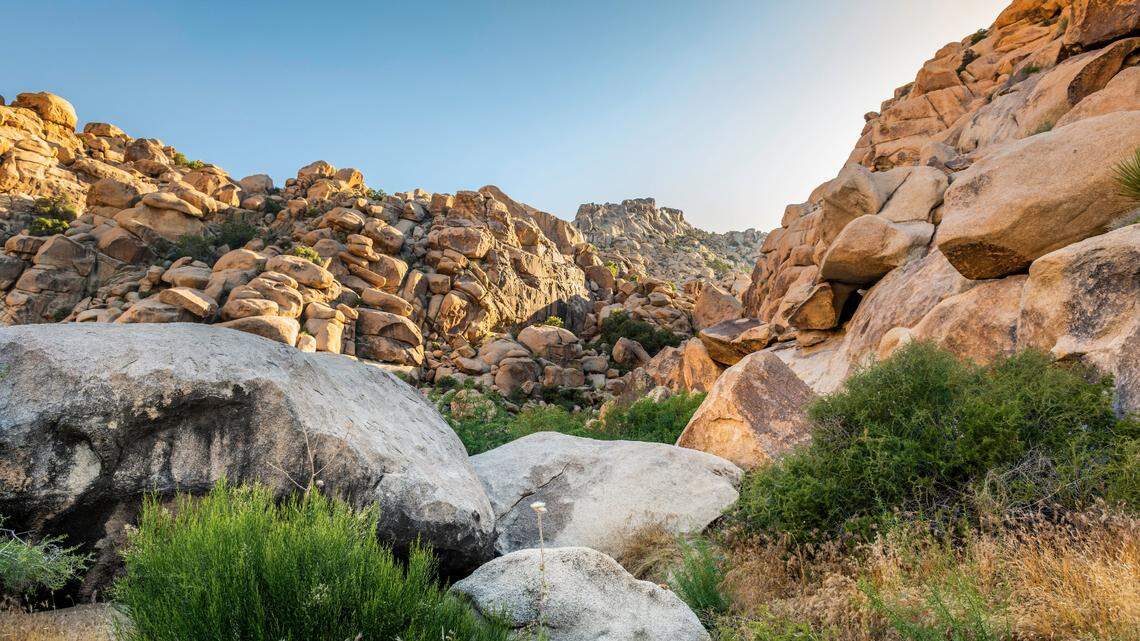 The Rattlesnake Canyon area of Joshua Tree National Park is challenging to navigate due to its remoteness, difficult terrain, and lack of cell phone service, the National Park Service says.
