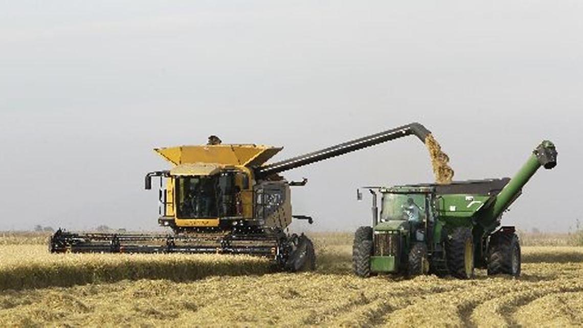 A recent report says exports of non-manufactured goods – including rice and other agricultural products – jumped 14.1 percent, to $1.7 billion in 2016. Above, rice is harvested near Dunnigan in October 2012.