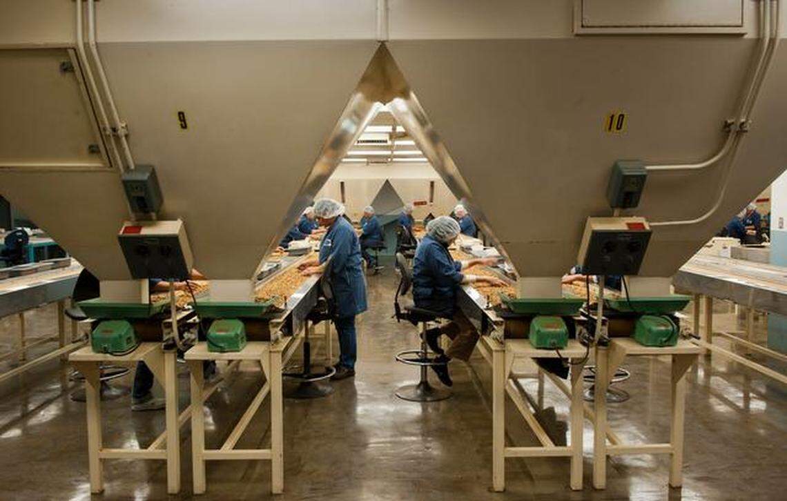 Workers sort almonds at the Blue Diamond Growers almond plant in Sacramento in 2011. The company announced Friday that it will close the midtown facility and shift operations to Turlock and Salida, affecting about 600 jobs.