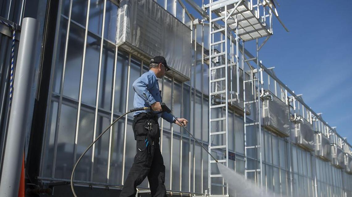Bayer Crop Science’s $12 million greenhouse in West Sacramento opened in February. Monsanto also has operations in the Sacramento region.