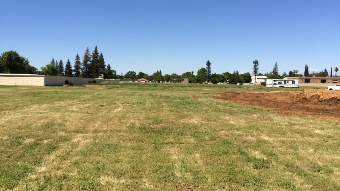 Urban vineyard proposed at Fruitridge-area cemetery