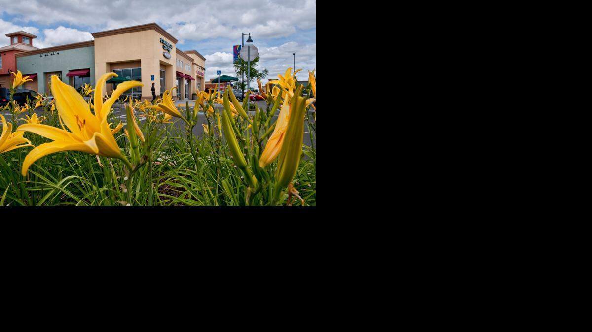
According to a Zillow analysis, the values of homes near this Starbucks at Florin Towne Center in south Sacramento would be rising faster than of homes farther from the coffee shop.
