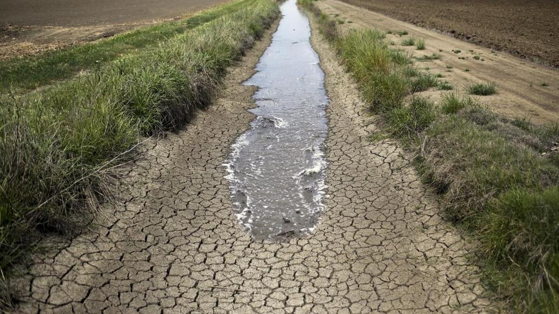 Irrigation water runs in a dried-up ditch between rice farms in Richvale in 2014.