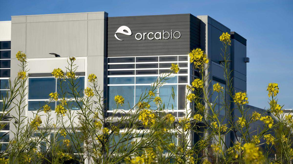 Orca Bio’s site near Sacramento International Airport is seen in an undated photo. The Menlo Park-based company is scaling up manufacturing at the facility as it prepares to seek FDA approval for its blood cancer therapy, Orca-T.
