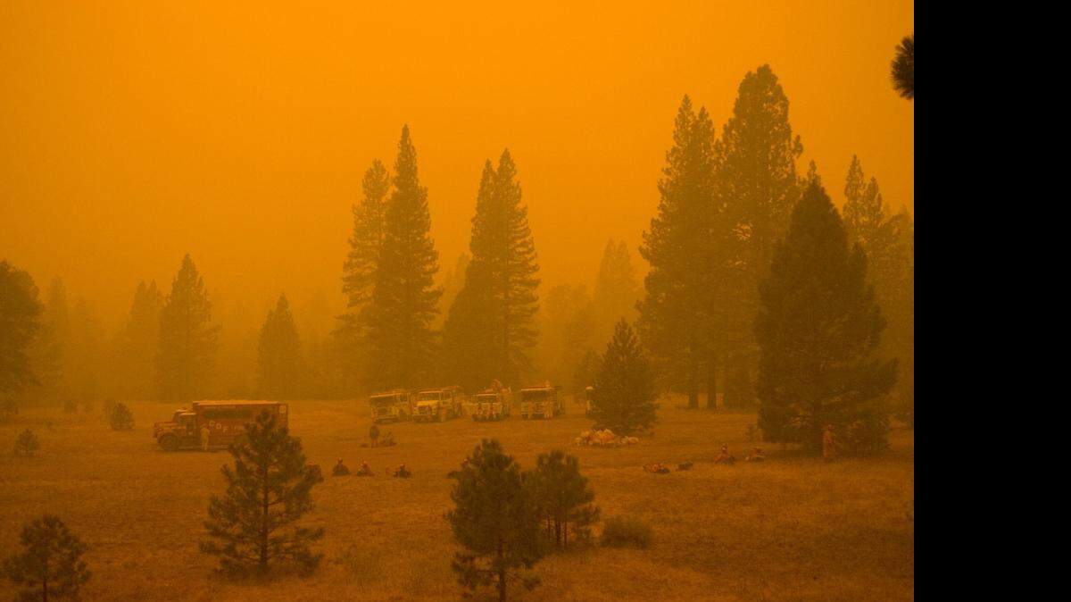
Smoke from the Moonlight Fire obscures the view of the Plumas National Forest in September 2007. The federal government blames timber giant Sierra Pacific Industries and a subcontractor for accidentally starting the massive blaze.
