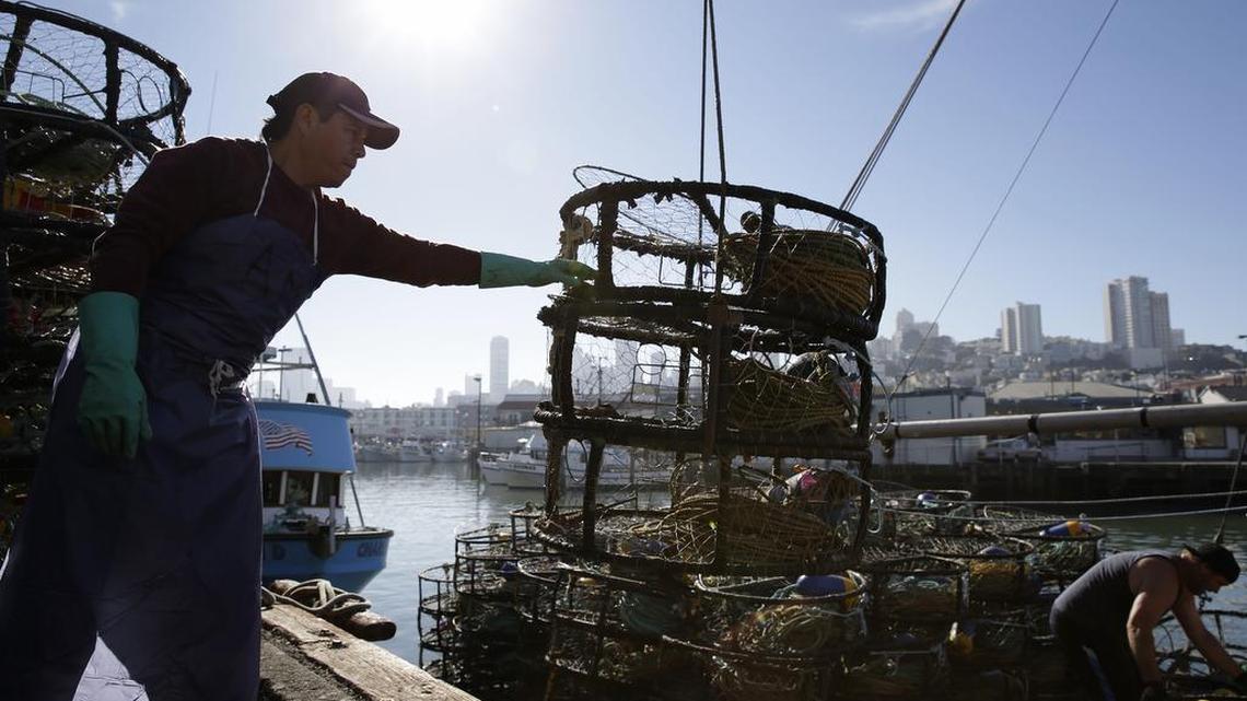 Abel Mata loads crab pots onto a boat at Fisherman’s Wharf in San Francisco in November 2013. State officials are closing a 120-mile stretch of the North Coast to commercial Dungeness crab fishing because of a health warning.