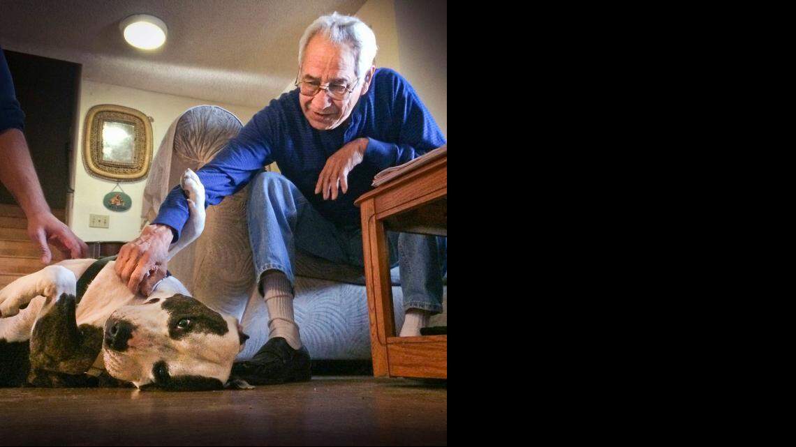Pit bull, other dog owners face being denied homeowners insurance