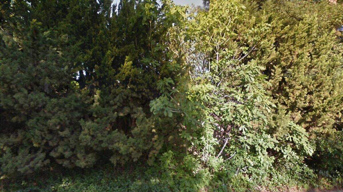 House on 1200 block of Beard Way