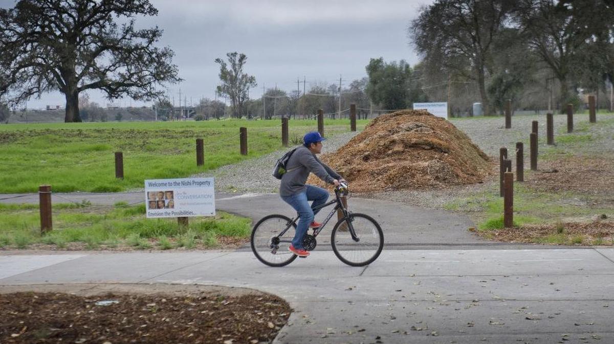 A bicyclist rides on the bike trail located on the site where the city of Davis, UC Davis, and private developers want to build an "innovation district" called Nishi Gateway in a 45-acre field next to the university.