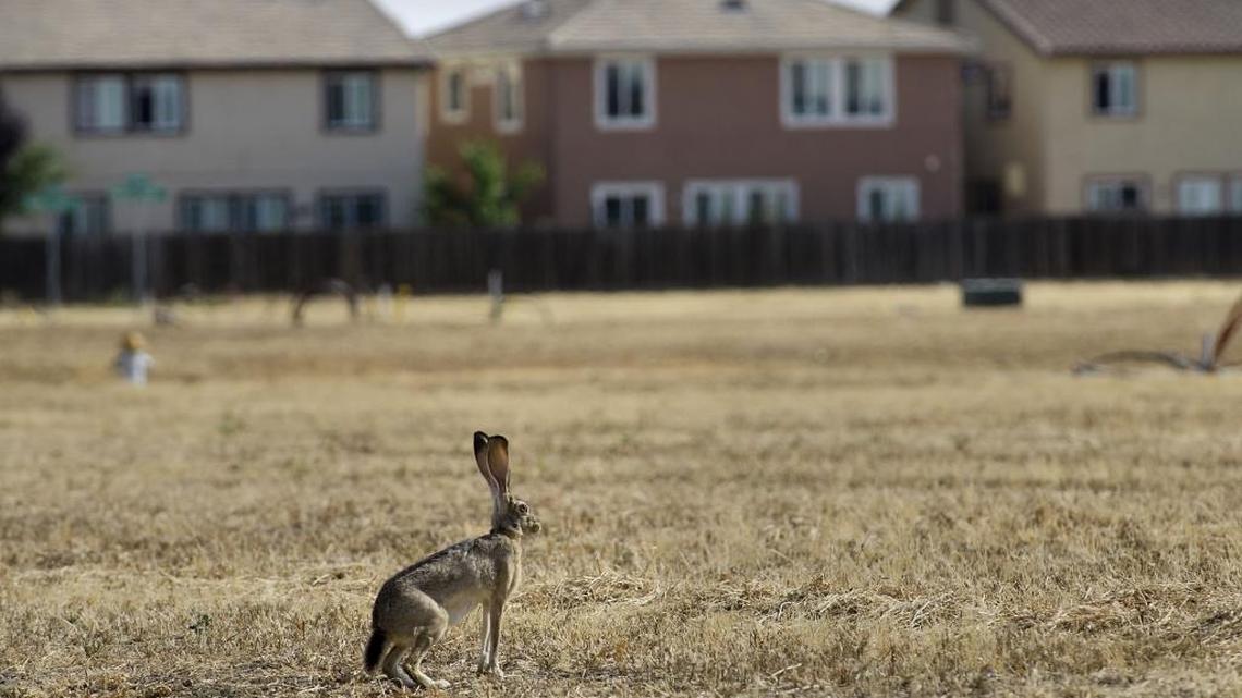 Field in North Natomas. The Greenbriar property is also located in North Natomas.