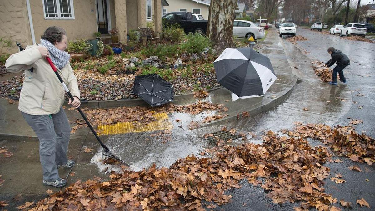 Kim Wells rakes leaves away from a storm drain with help from her 10-year-old son Ryan Wells near the corner of Harkness Street and Larkin Way in Land Park on Thursday, December 15, 2016 in Sacramento.