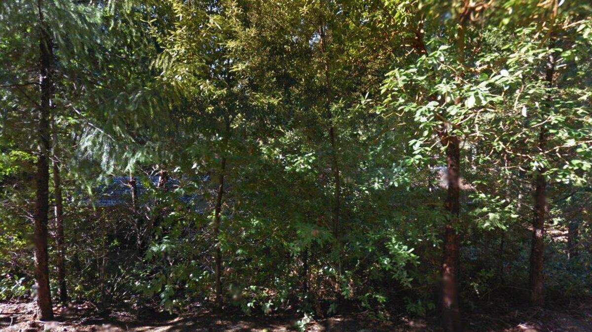 House on 2500 block of Blackbird Lane