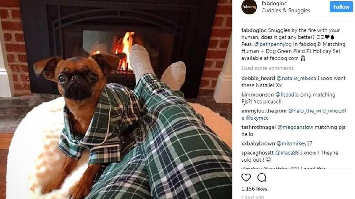 This screenshot from fabdog’s Instagram page shows a post about matching pajamas for humans and dogs.