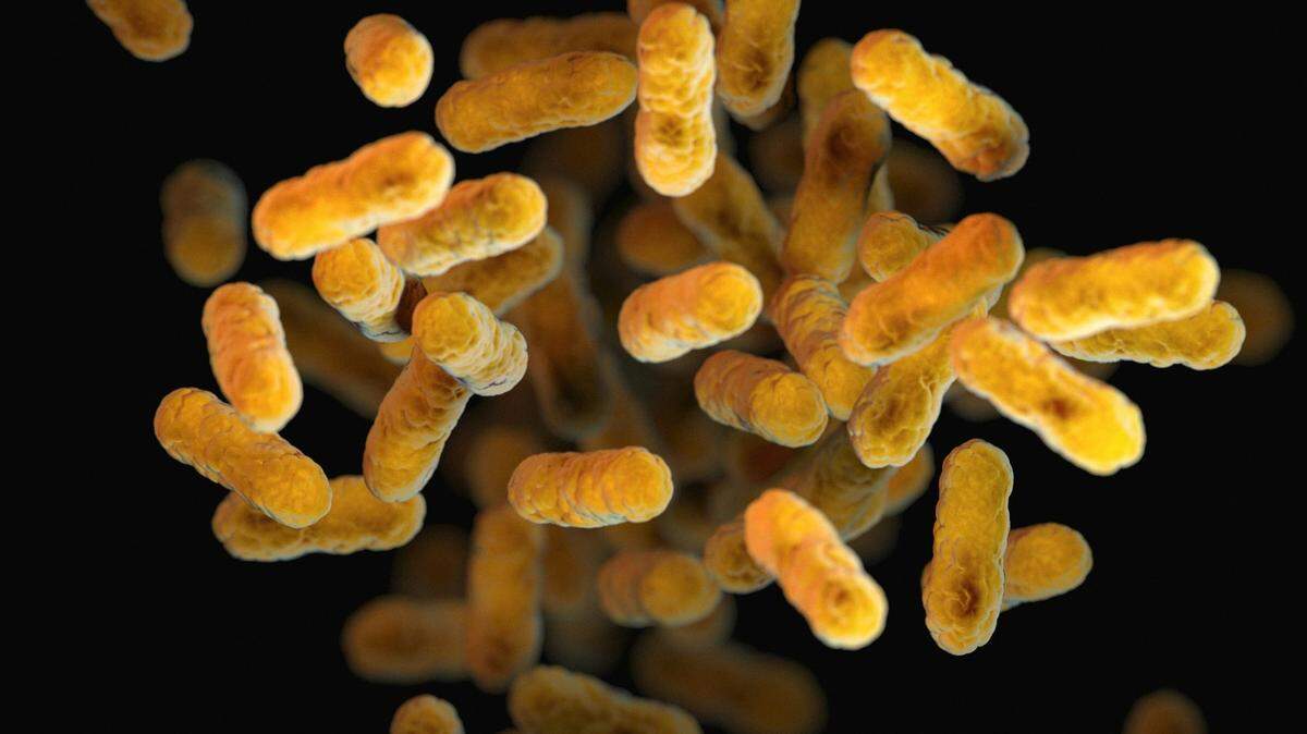 Of the 93 reported cases of whooping cough in Marin County, 65 of them have been tied to an outbreak at Tamalpais High School.