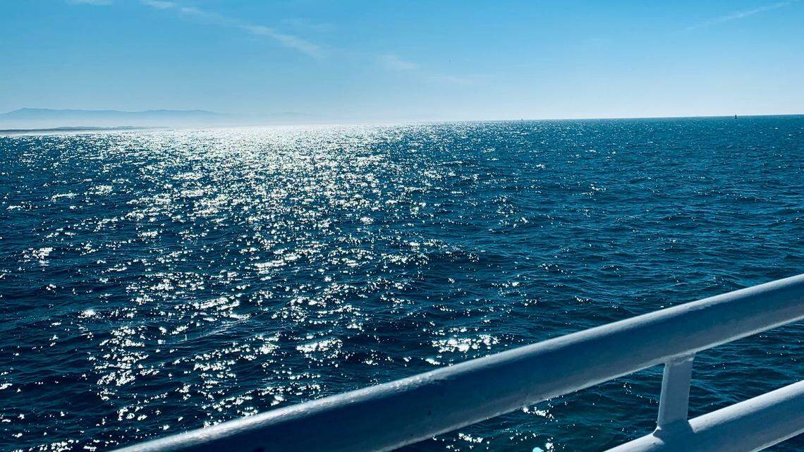 While Glacier and his mom are considered elders in the orca community, they are far from the oldest killer whales experts have seen.