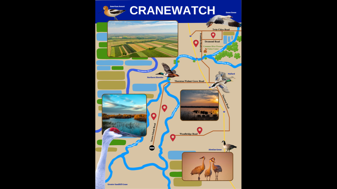 A map of where to view sandhill cranes in Cosumnes River Preserve.