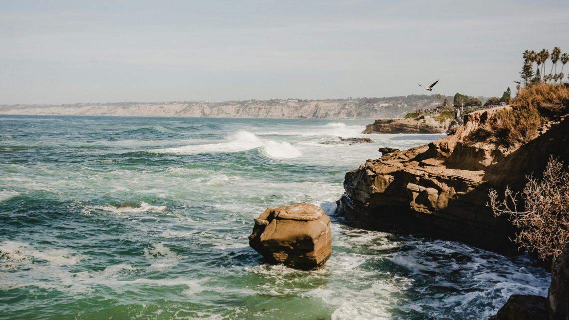Oarfish are usually deep-sea dwellers. Scientists have a theory as to how it ended up in La Jolla Cove off California.