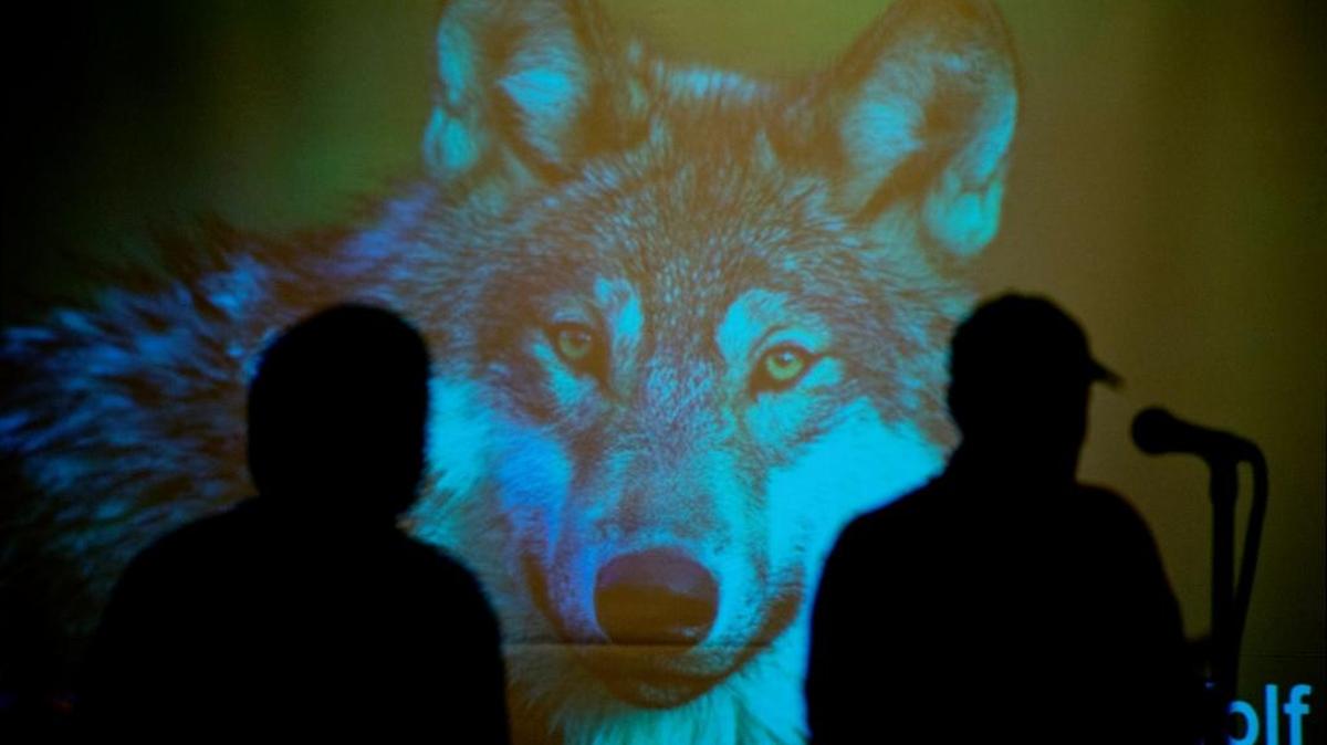 Speakers for and against the removal of the gray wolf from the threatened and endangered species lists take turns at the microphone at the Department of Fish and Wildlife Service hearing in November 2013 in Sacramento.