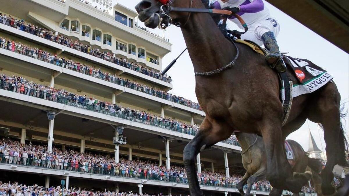 Mario Guitierrez rides Nyquist to victory earlier this month during the 142nd running of the Kentucky Derby.