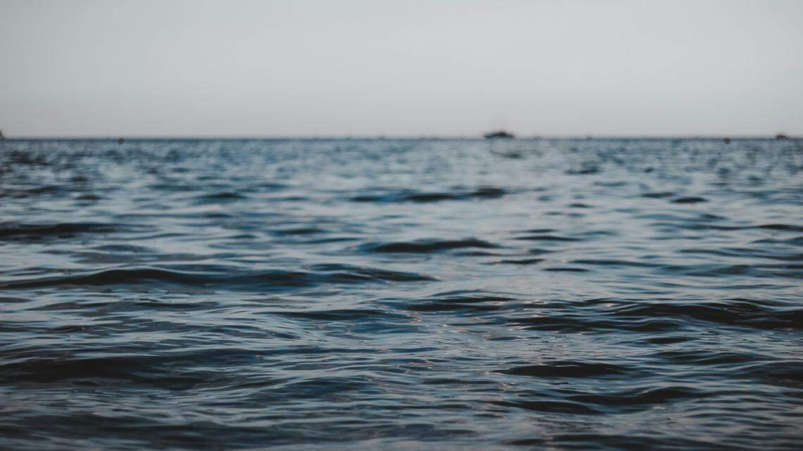 Frosty has become a celebrity because of its unique coloration.