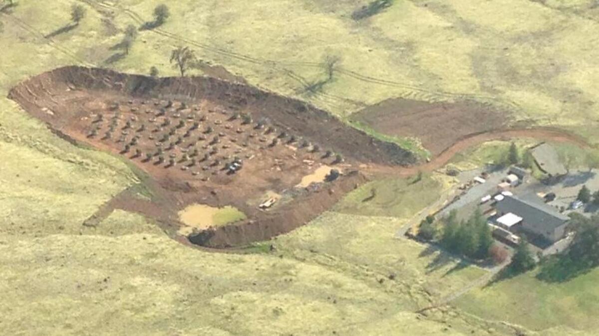 State Department of Fish and Wildlife aerial photo of marijuana plantation and grading that authorities said dumped tons of earth and sediment-laden storm water into a tributary of Clover Creek in Shasta County.