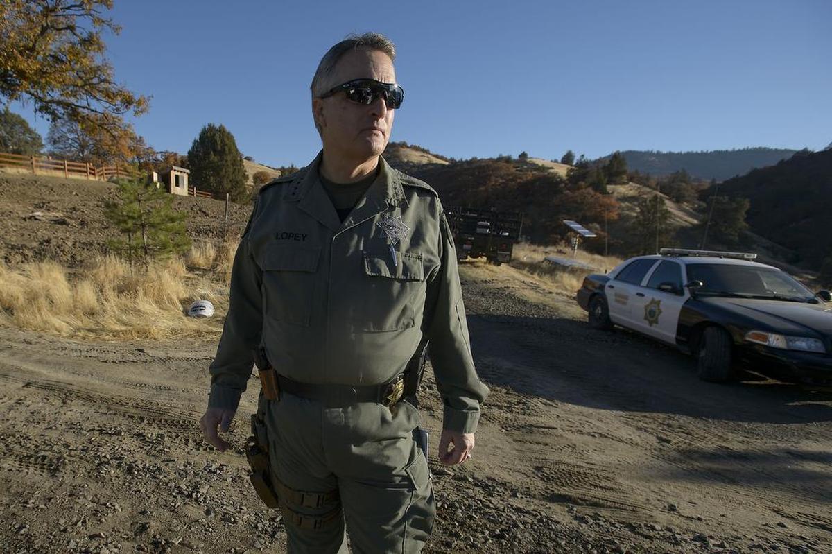 Siskiyou County Sheriff Jon Lopey during a raid on an illegal cannabis cultivation in northern Siskiyou County on Thursday, October 26, 2017.