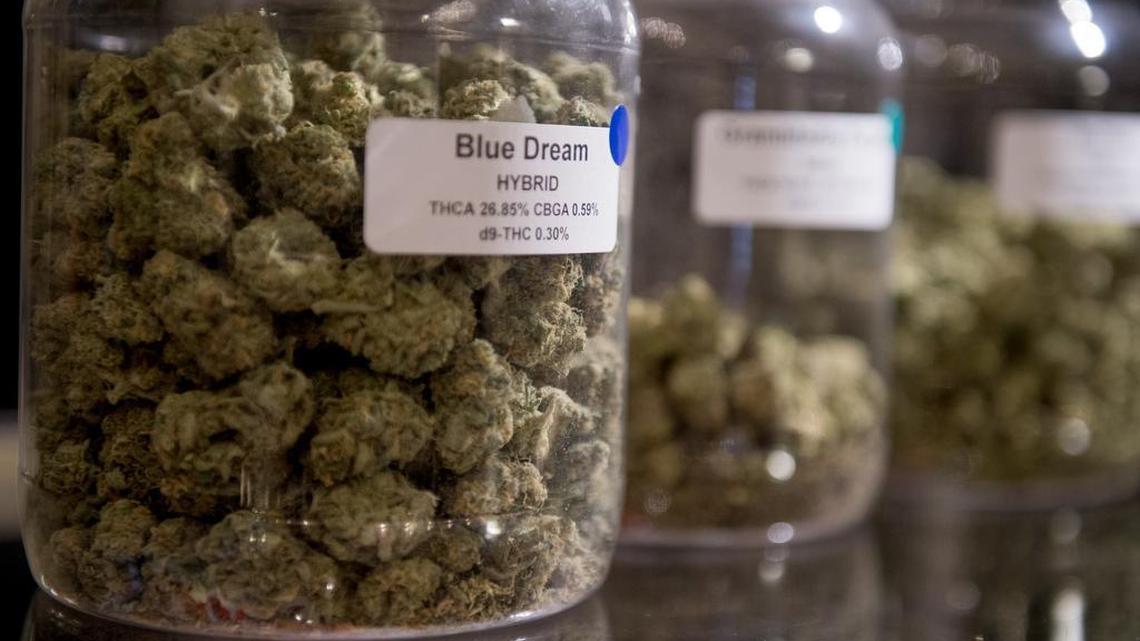 Indica or sativa? Smoke or vape? A beginner’s guide to buying recreational marijuana