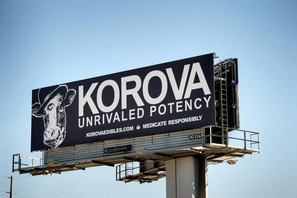 Korova Edibles’ “20 dose” medical cannabis Black Bar chocolates are supercharged with 1,000 milligrams of THC, marijuana’s psychoactive ingredient, and the company’s new THC Blondie has 10 50-milligram doses with a total punch of 500 milligrams. Now state Department of Public Health potency limit recommendations for medical marijuana edibles could force the company to dramatically cut THC levels in its products.