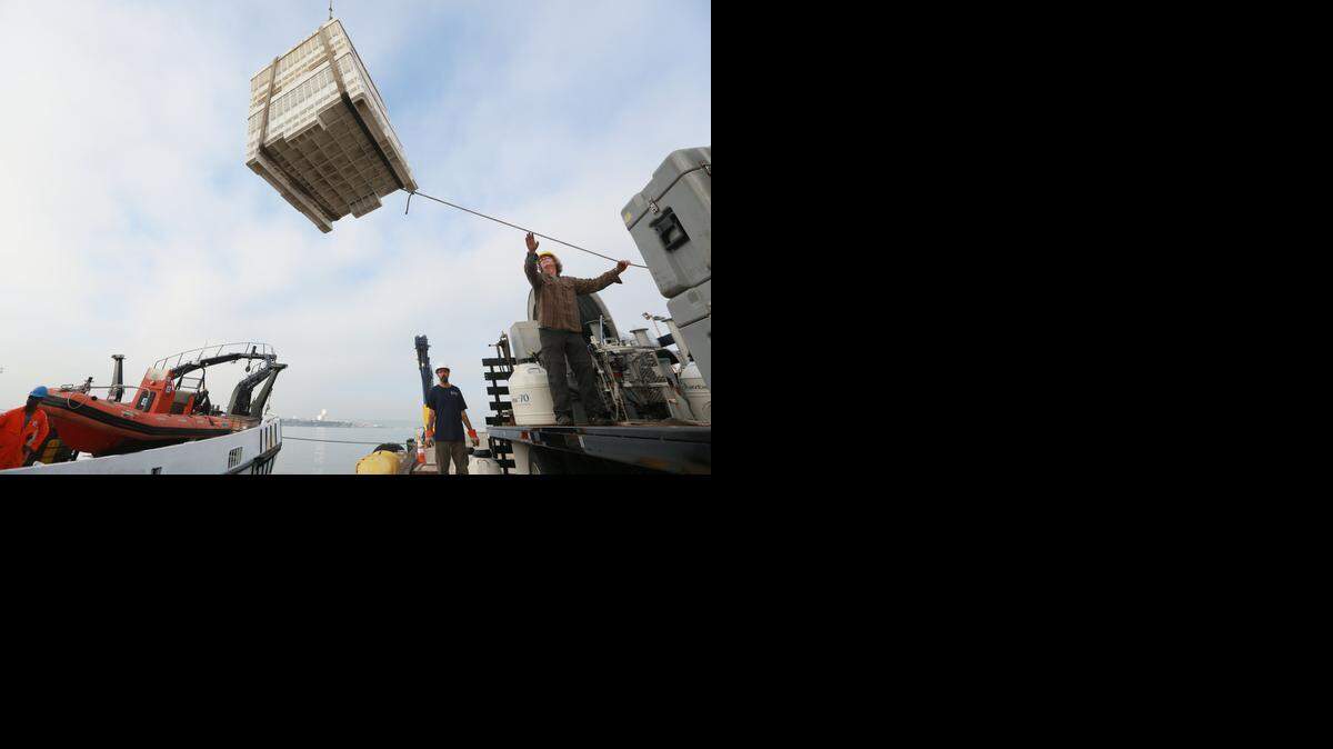 
Research items are unloaded from the Ocean Starr research ship in San Diego last week after its return from a four-month expedition. Reported sightings of rare whales, sea turtles and dolphins in Southern California waters in recent months have prompted scientists to probe the causes. 
