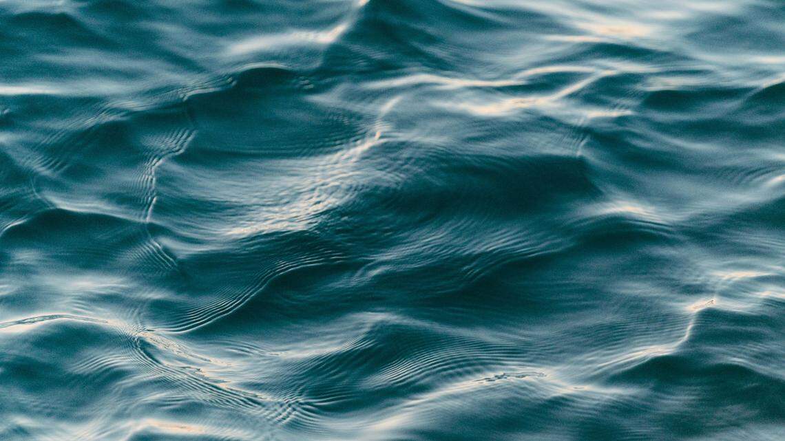 A sea creature and her baby were seen feeding off the coast of California.