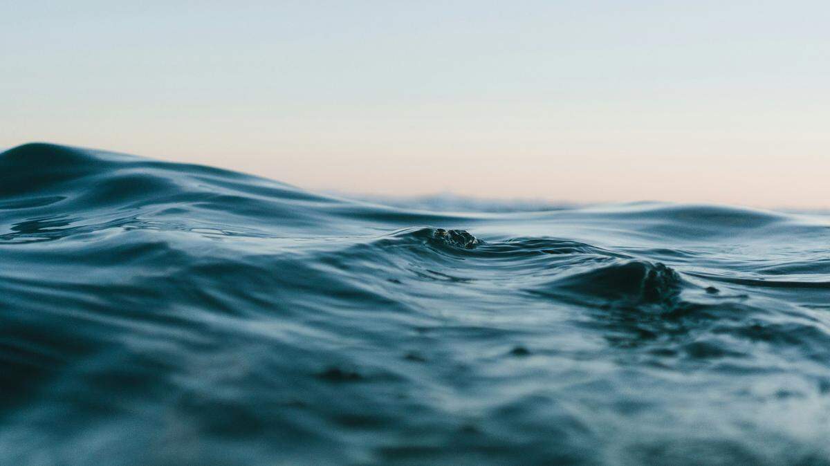 A “rare” sea creature was spotted in California, according to a Facebook post.