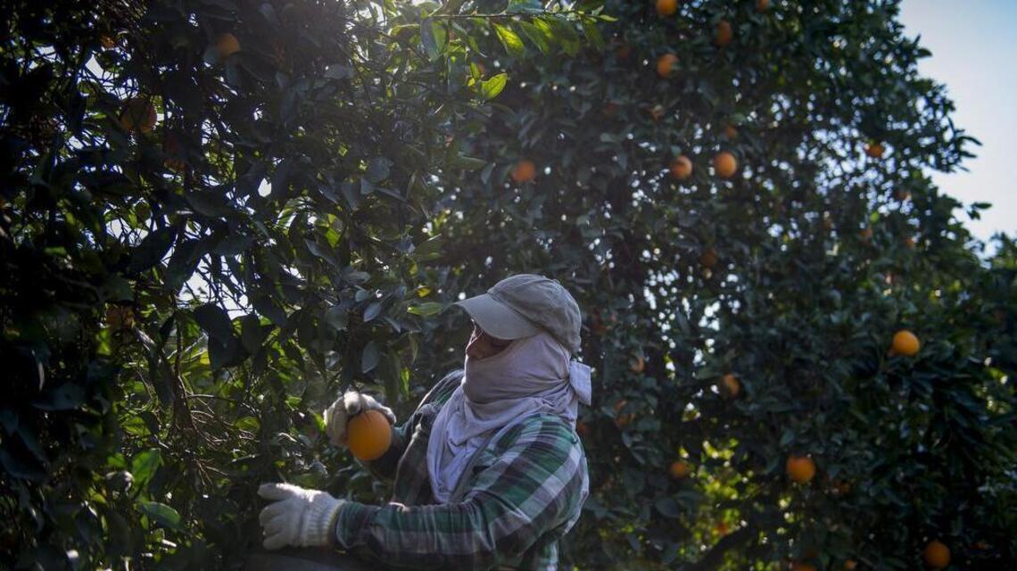 Undocumented workers forced to ‘wipe out their life savings.’ Will California help?