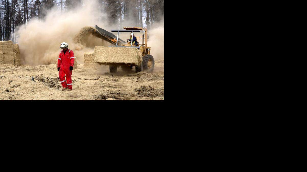 
Contractors working for the U.S. Forest Service, with a financial assist from SMUD, are using a helicopter to apply straw mulch over 1,200 acres of more than 90,000 acres burned by the King fire. Landing manager Ryan Argo helps oversee the distribution of mulch. After arriving by truck, bales of straw are chopped up before they’re scooped up by helicopter and then dumped onto steep slopes.
