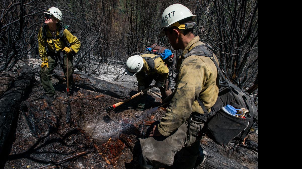 Firefighters with the Stanislaus US Forest Service contain burn areas of the Kyburz Fire in El Dorado National Forest in 2015.
