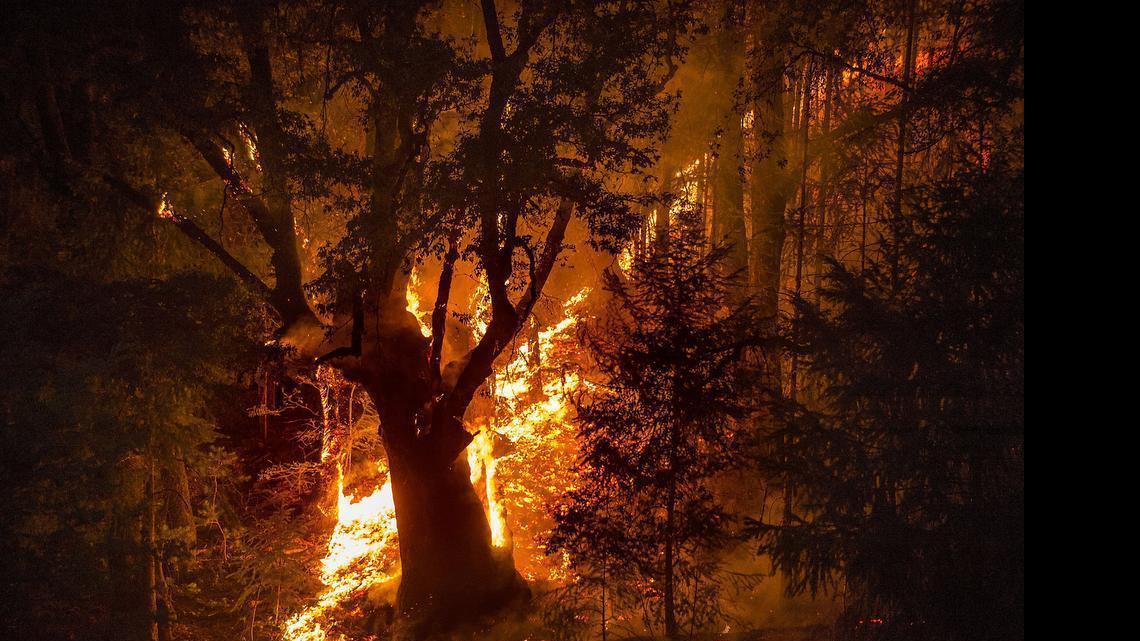 
The Lowell fire along the Bear Creek canyon Saturday, July 25, 2015. 
