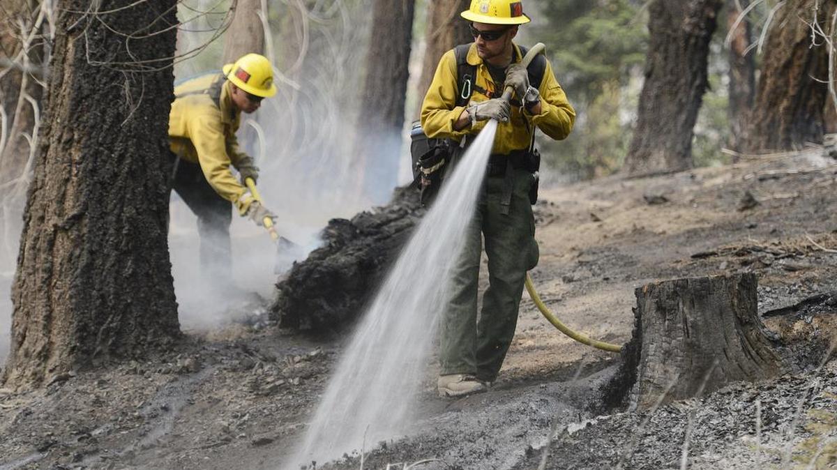 
San Bernardino National Forest firefighters Logan Costello, right, and Andrew Duran mop up on a back burn area near Grant Grove in Kings Canyon National Park on Saturday as firefighters work to protect the giant sequoias from the encroaching Rough fire.
