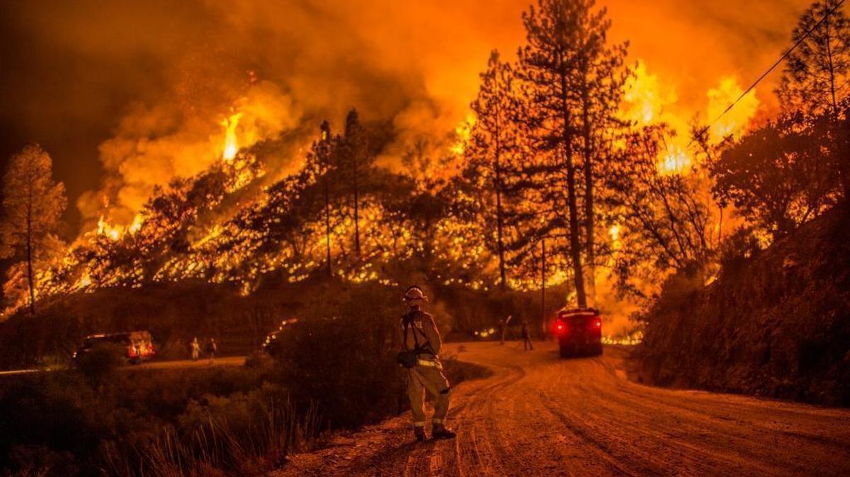 
Fire crews ran night operations and controlled burnings to contain the Butte Fire in Sheep Ranch, on Sept. 12 2015. The Butte Fire started Wednesday east of the Amador County town of Jackson and has burned nearly 65,000 acres and is forcing evacuations in the dry hills east of Highway 49.
