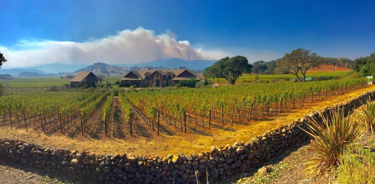 The Nuns Fire, as seen from Harbison Estate Winery on Silverado Trail, on Friday.