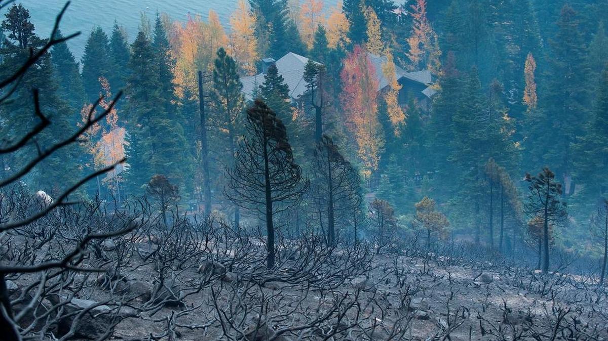 Lake front homes were threatened at the Emerald Fire along Highway 89 Friday, Oct. 14, 2016 near Lake Tahoe, Nev. A wind-whipped wildfire raged out of control Friday in northern Nevada, destroying more than a dozen homes, forcing evacuations, closing roads and schools, and triggering power outages, officials said.