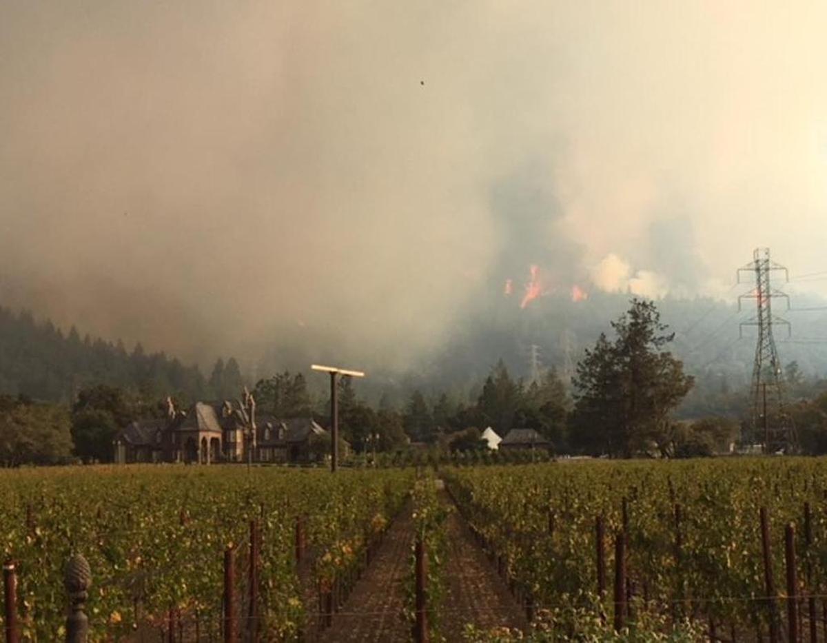 Current condition behind Ledson Winery along Hwy 12 in Kenwood area. Everyone should stay out of the area and let the firefighters do their work.