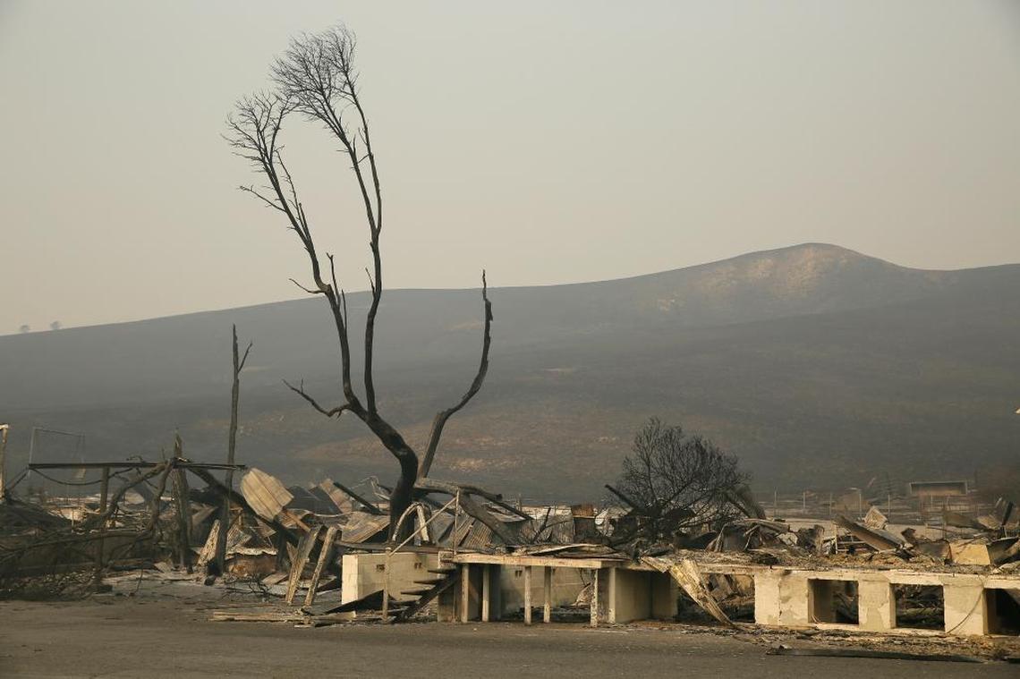 Parts of a tree still stand above the remains of the Clover Stornetta dairy Tuesday in Sonoma.