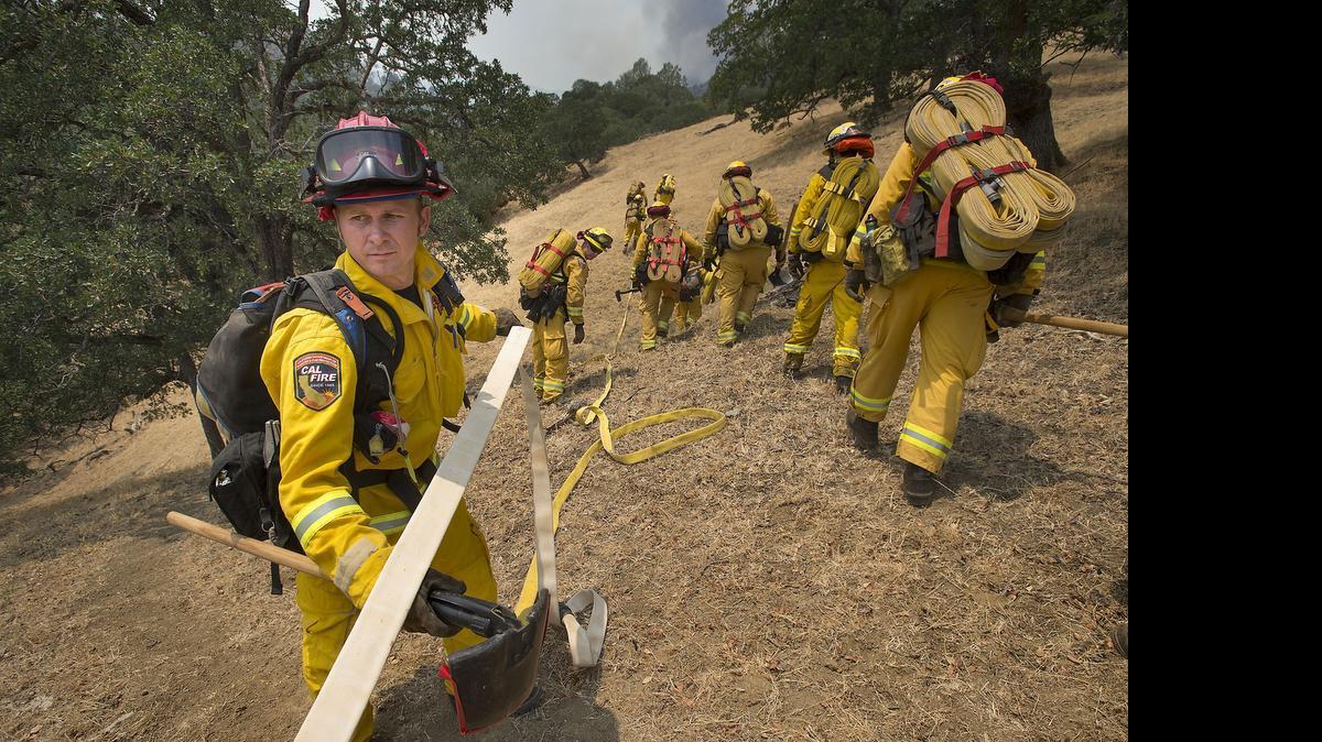 
Cal Fire crews extend hose lines on the Wragg Fire near Winters on Thursday, July 23, 2015.
