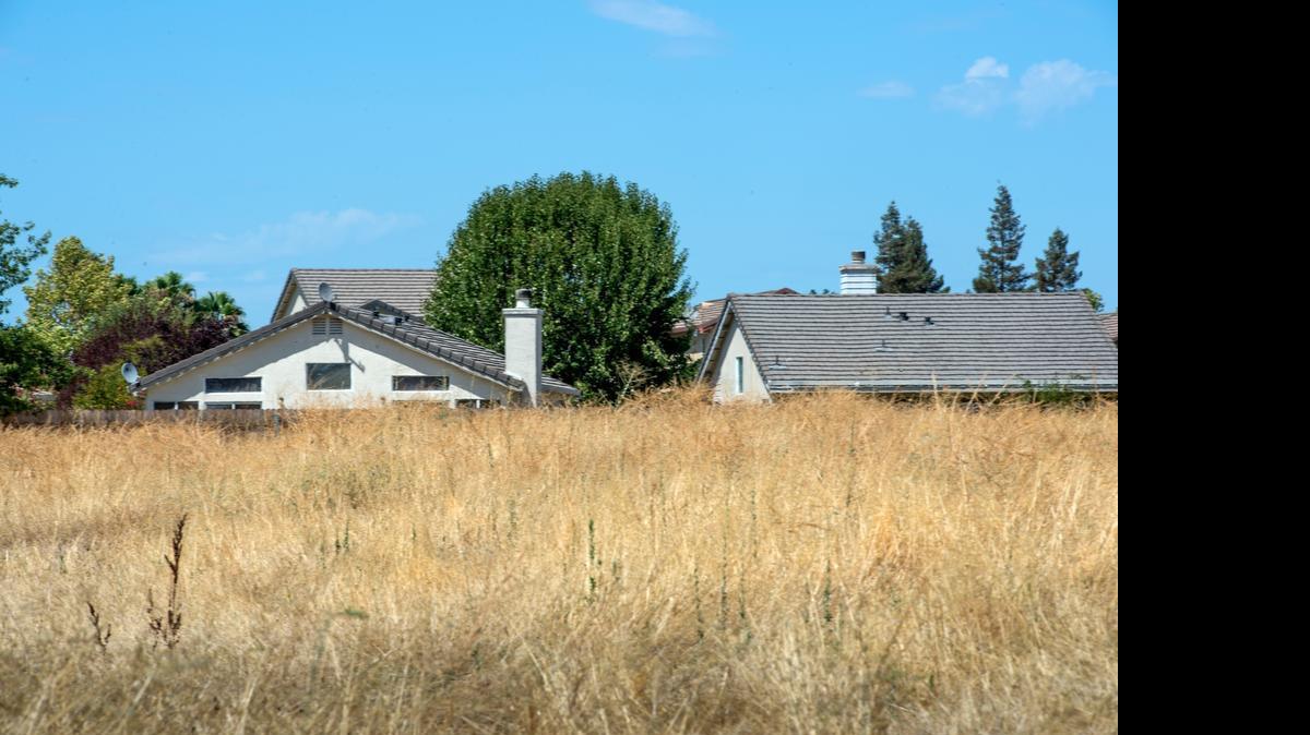 
City of Sacramento officials are warning property owners that weeds need to be removed to prevent damage from potential grass fires such as the one in June on Jacinto Avenue and Center Parkway.
