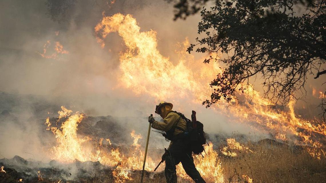 
A firefighter lights a back burn along Highway 29 north of Middletown on Sunday, September13, 2015, in Lake County.
