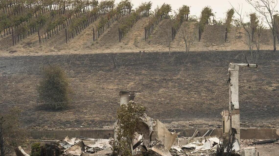 Cabernet sauvignon, petite sirah grapes most threatened by wine country fires